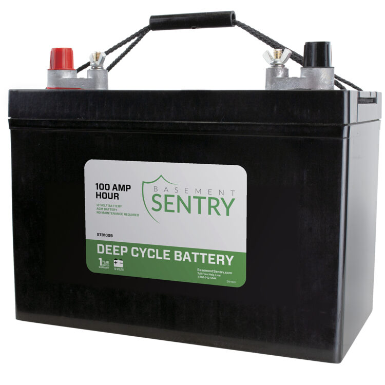 STB100B Basement Sentry Battery 100 AMP image