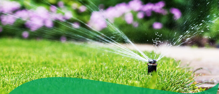Choosing the Right Irrigation Pump for Your Garden: Factors to Consider image